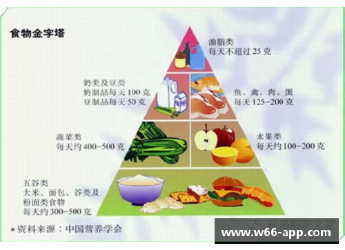 职业球员科学营养：健康饮食指南